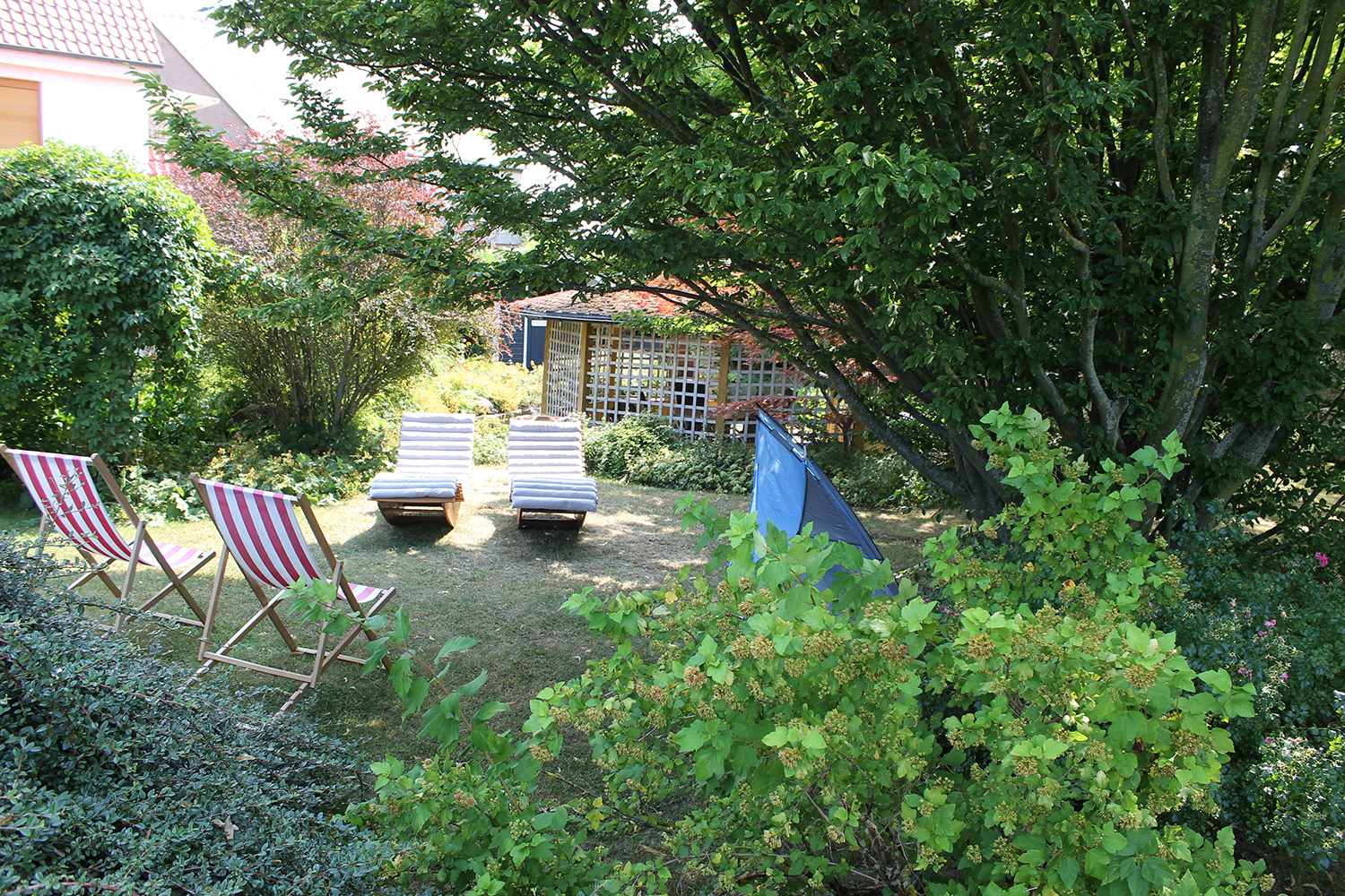 Ferienhaus-Lieblingsplatz-Seelitz-Garten